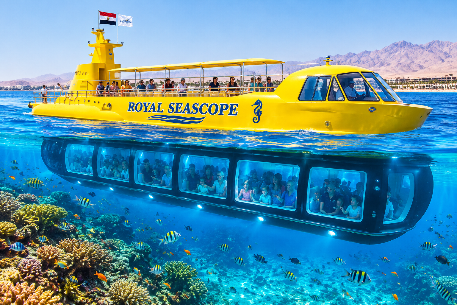sea scope